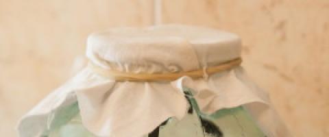 Hirudoterapi di rumah: cara memasang lintah